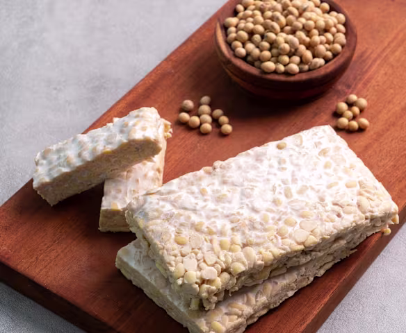 Makanan Fermentasi
